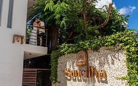 Suucilha